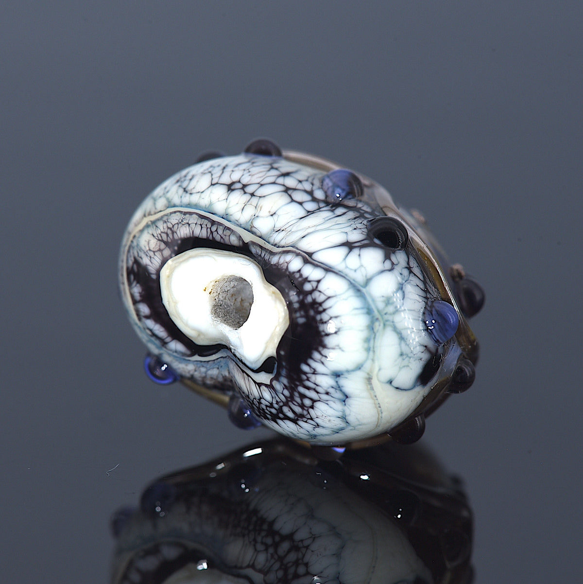 Close-up of a unique shell with black and white patterns on a reflective surface.