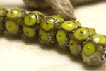 10505001 - Seven Pear Green w/Metal Dots Rondelle Beads