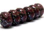 10601721 - Six Plum w/Metal Dots Rondelle Beads