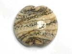 11810902 - Dark Ivory w/Silver Lentil Focal Bead