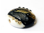 11832602 - Ravens Stardust Lentil Focal Bead