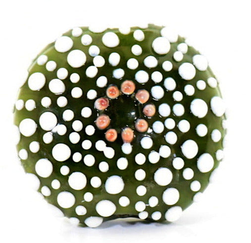 Green Sea Urchin Lentil Focal Bead