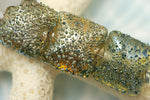 40101014 - Four Golden Green Metallic Pillow Beads