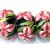 10110301 - Seven Pink Iris Rondelle Beads