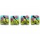 10504414 - Four Purple Dragonfly Pillow Beads
