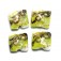 10505614 - Four Lime Stardust Pillow Beads