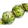 10508412 - Four Spring Green Florals Lentil Beads
