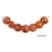 10704102 - Seven Orange Lentil Beads