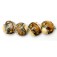 10801712 - Four Butterscotch Stardust Lentil Beads
