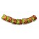 11007004 - Seven Carolina Parakeet Pillow Beads