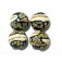 11105012 - Four Black/Ivory & Beige Lentil Beads