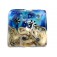 11815904 - Transparent Blue Seashell Pillow Focal Bead