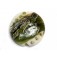 11831202 - Olive Stardust Lentil Focal Bead