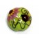 11833102 - Ladybug on Spring Green Lentil Focal Bead