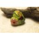 11833105 - Ladybug on Spring Green Heart