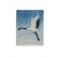 WL023040 - 30x40mm Porcelain Puffed Rectangle Crane Bird #2