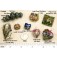 Grace Lampwork Beads handmade artisan glass beads